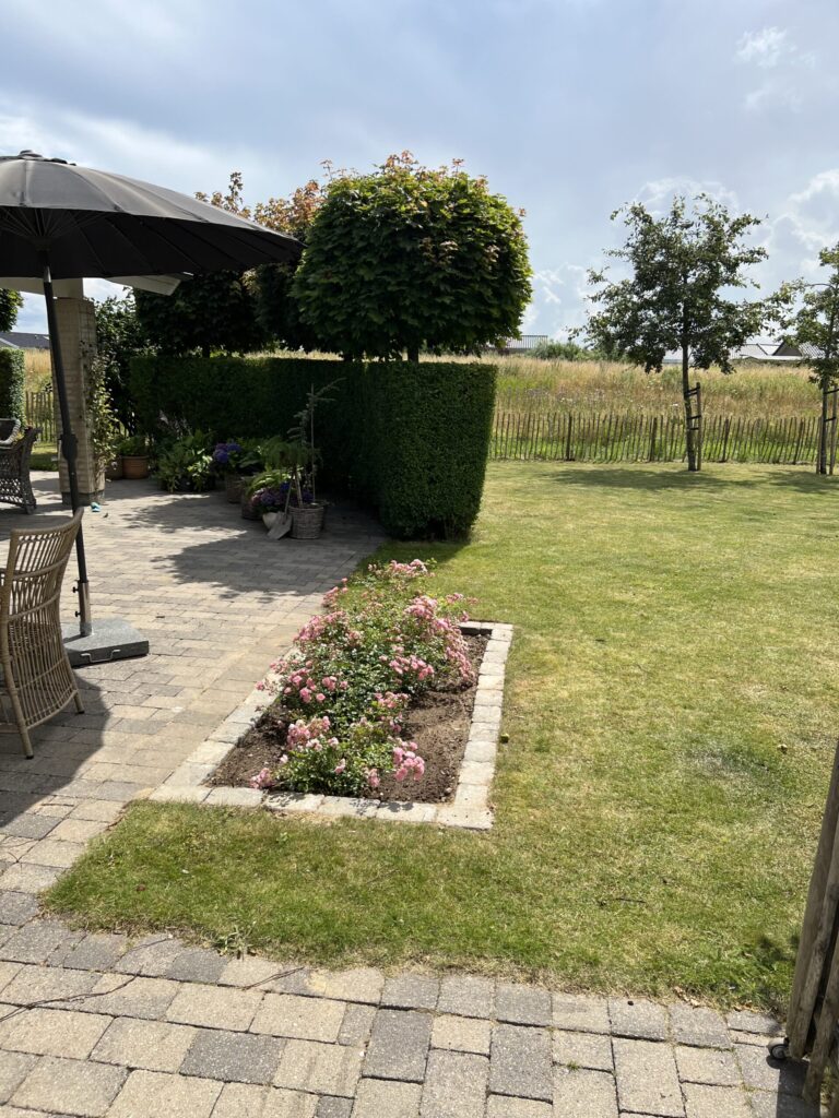 Terrasse, rosenbed og græsplæne i en velholdt have