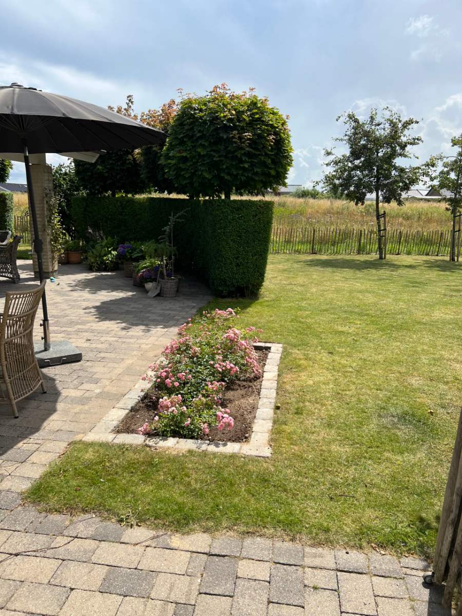 Terrasse, rosenbed og græsplæne i en velholdt have